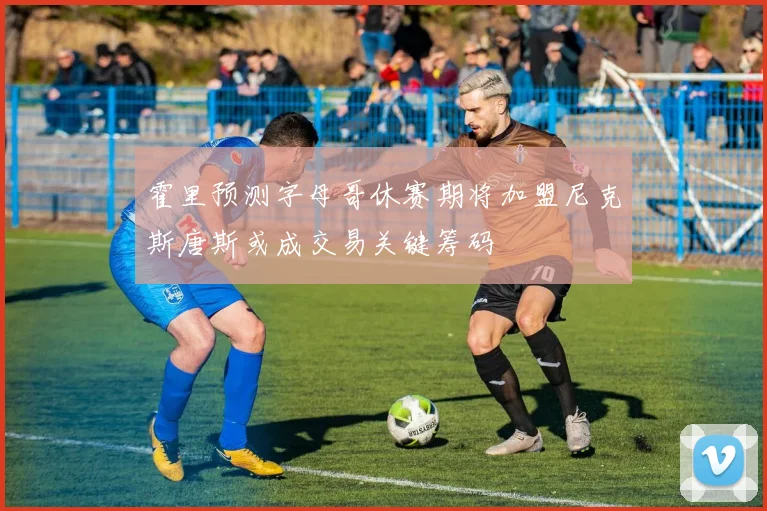 霍里预测字母哥休赛期将加盟尼克斯唐斯或成交易关键筹码